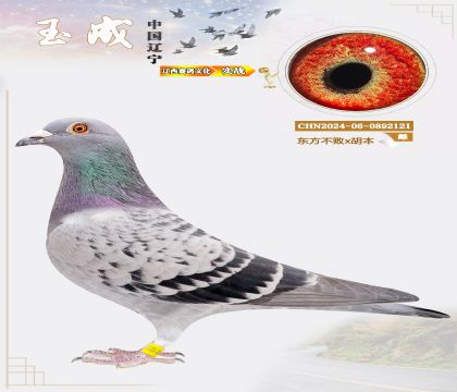 �����N�����|������x������