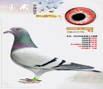 23���＾���P(gu��n)����74λ������x�|��������