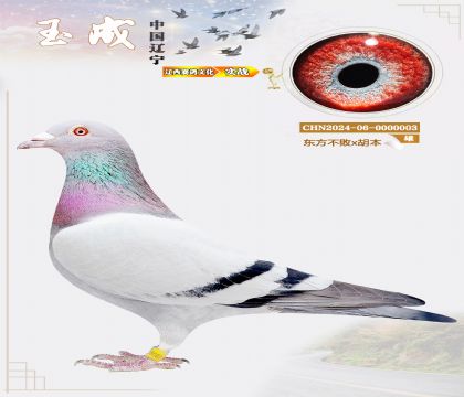 �����N������ɽꖹ���B(y��ng)������8λ��ƽ݅