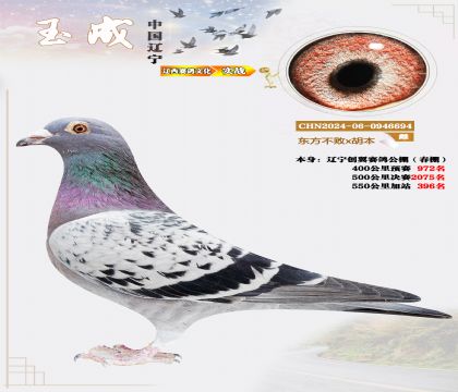 �|����(chu��ng)������400����972����550����396��