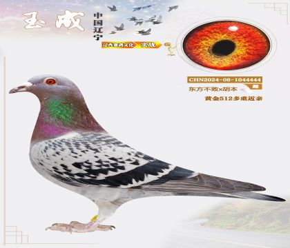 �|���������S��512�����ؽ��H