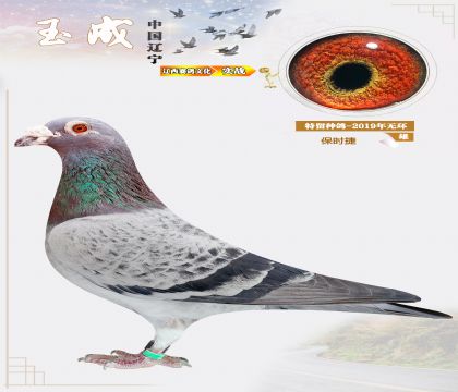 �o�h(hu��n)���c�ۣ����r�ݣ�