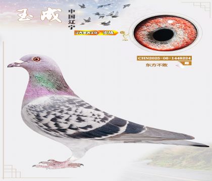 �����N�����|��������