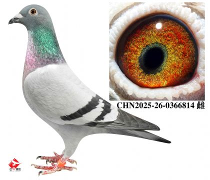 ����120��x9��