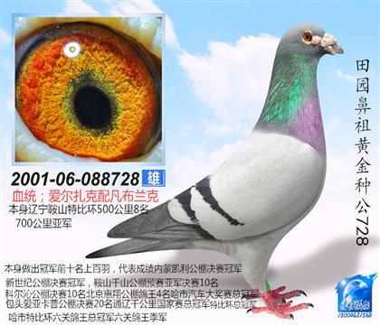 天生贏家外祖父