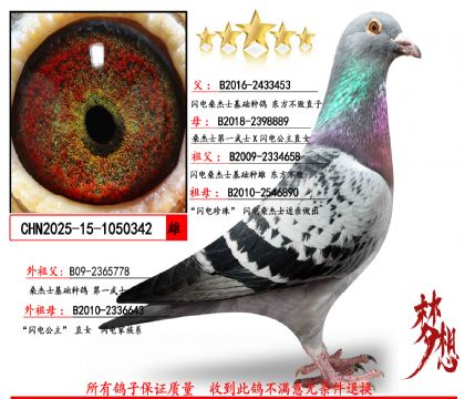 ���������ȣ��W�ɣ��ʿ�@ʯ��ĸ