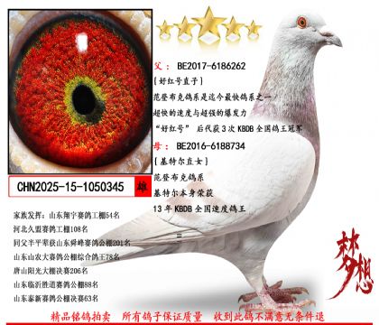 ���ǲ��ˡ��ütֱ̖�ӡ�X�����ؠ�ֱŮ����