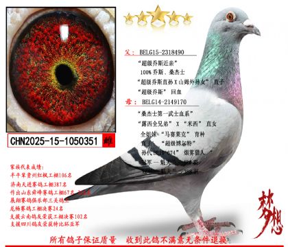 ����˹�� ɣ��ʿ피��N��351