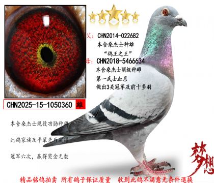 ɣ��ʿ������֮����피��N��