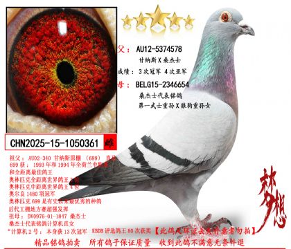 �ʼ{˹Xɣ��ʿ����һ��ʿ�،OX�ǹ�̖�،OŮ