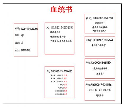 2025-15-1050305血_副本