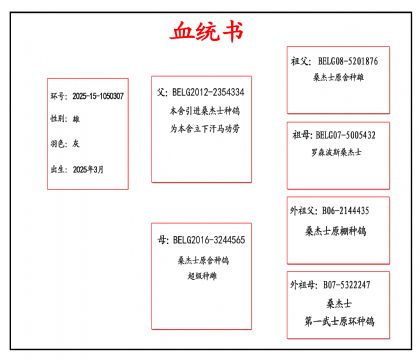 2025-15-1050307血_副本