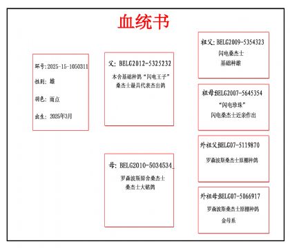 2025-15-1050311血_副本