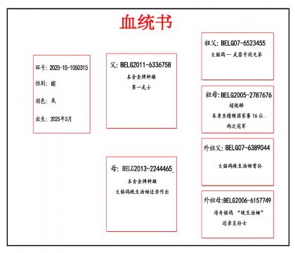 2025-15-1050315血_副本