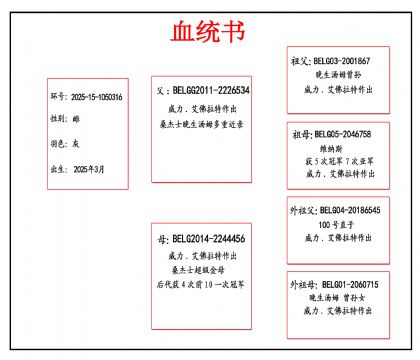 2025-15-1050316血_副本