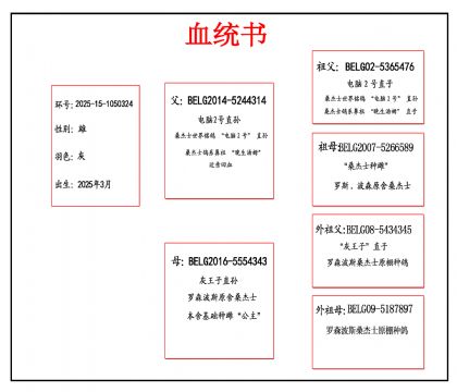 2025-15-1050324 血_副本