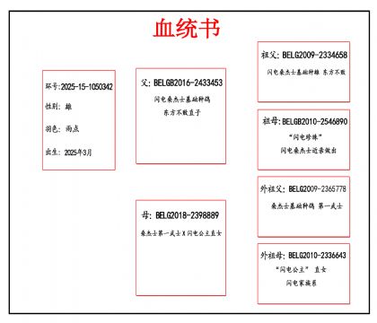 2025-15-1050342血_副本