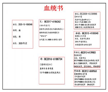 2025-15-1050345血_副本