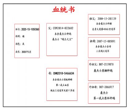 2025-15-1050360血_副本