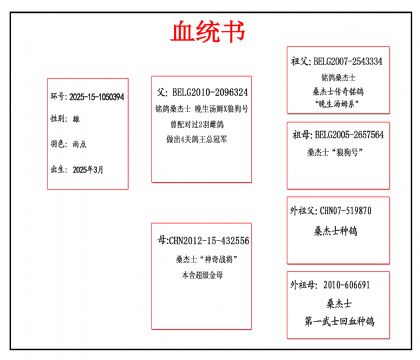2025-15-1050394血_副本