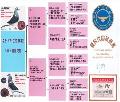 ���HѪ�y(t��ng)��