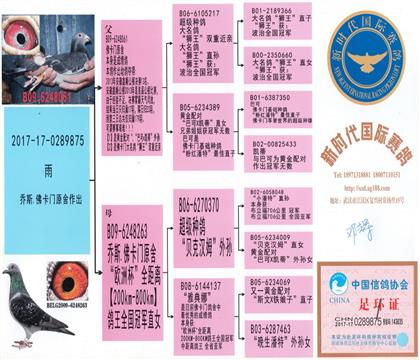 ���HѪ�y(t��ng)��