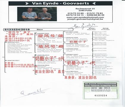 ĸ�HѪ�y(t��ng)��(sh��)