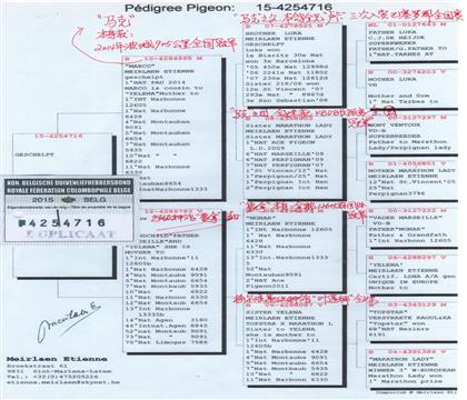 ���HѪ�y(t��ng)��