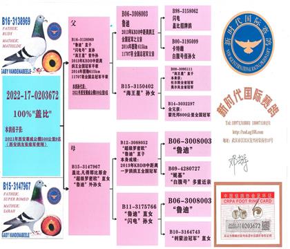 ĸ�HѪ�y(t��ng)��