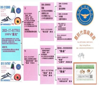 父親血統(tǒng)書