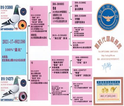 母親血統(tǒng)書