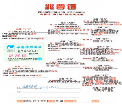 ���HѪ�y(t��ng)��(sh��)