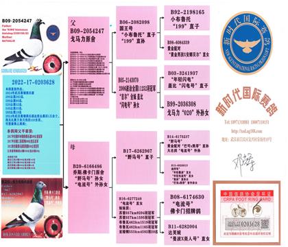 ĸ�HѪ�y(t��ng)��(sh��)