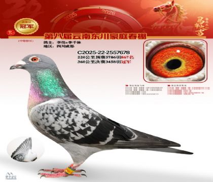 豪庭春棚決賽冠軍