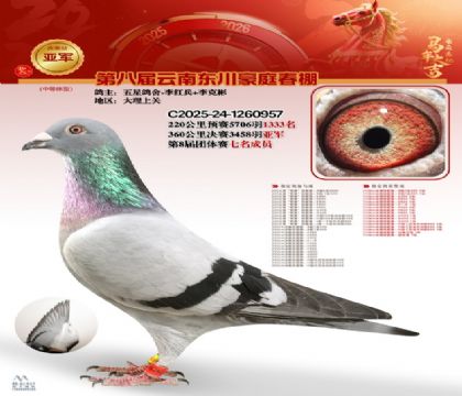 豪庭春棚決賽亞軍