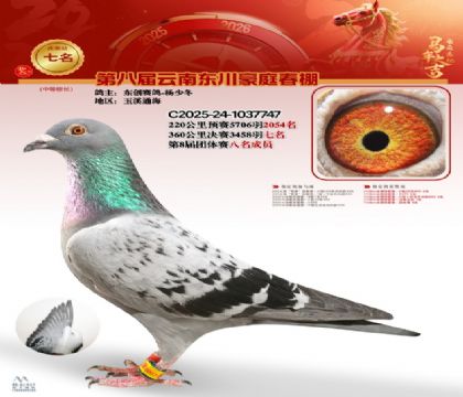 豪庭春棚決賽7名