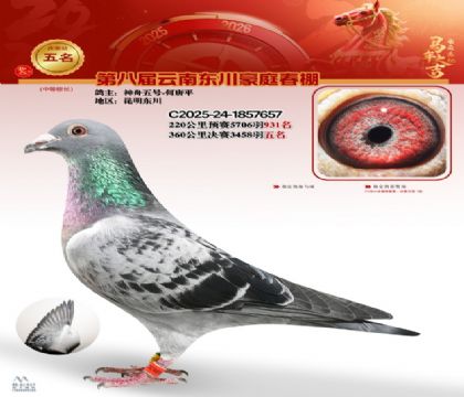 豪庭春棚決賽5名