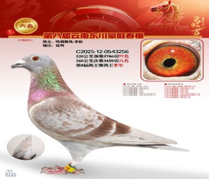 豪庭春棚決賽6名