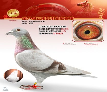 豪庭春棚決賽10名