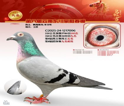 豪庭春棚決賽9名