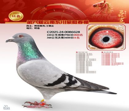 豪庭春棚決賽11名