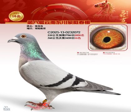 豪庭春棚決賽16名