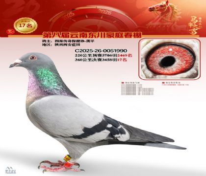 豪庭春棚決賽17名