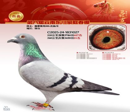 豪庭春棚決賽21名