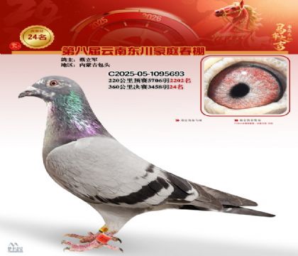 豪庭春棚決賽24名