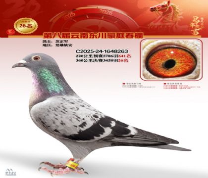 豪庭春棚決賽26名