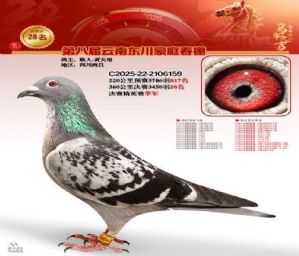 豪庭春棚決賽28名