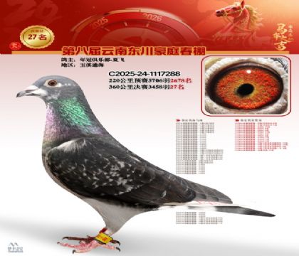 豪庭春棚決賽27名