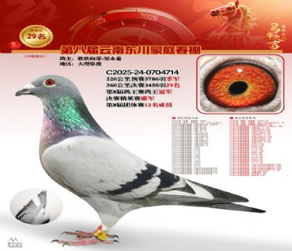 豪庭春棚決賽29名