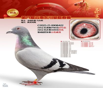 豪庭春棚決賽30名